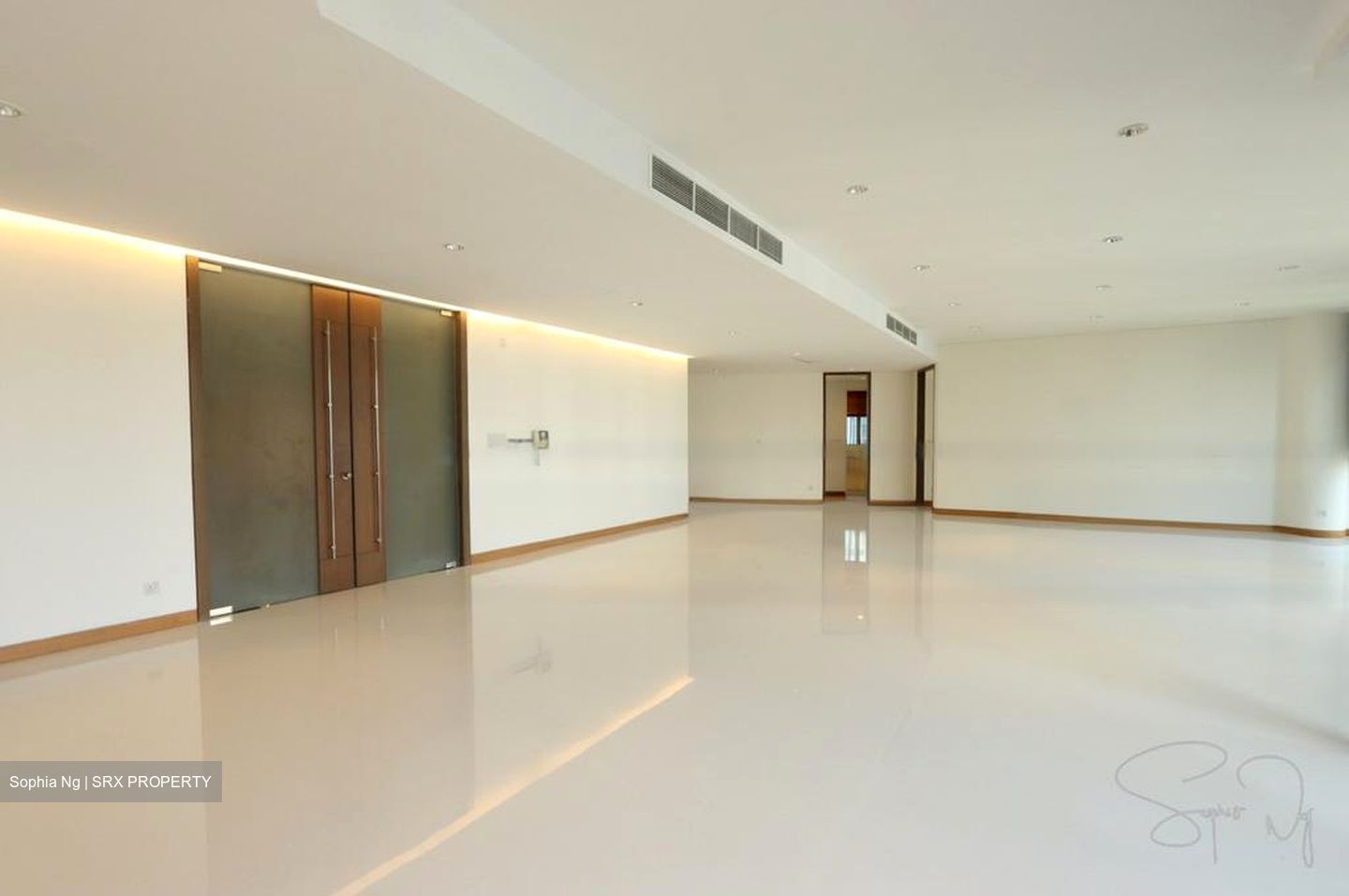 Tan Chin Tuan Mansion (D9), Apartment #460196141